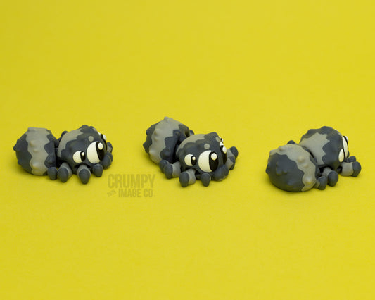 Parker the Flexi Jumping Spider
