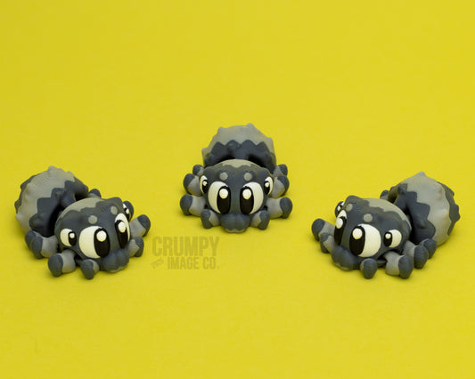 Parker the Flexi Jumping Spider