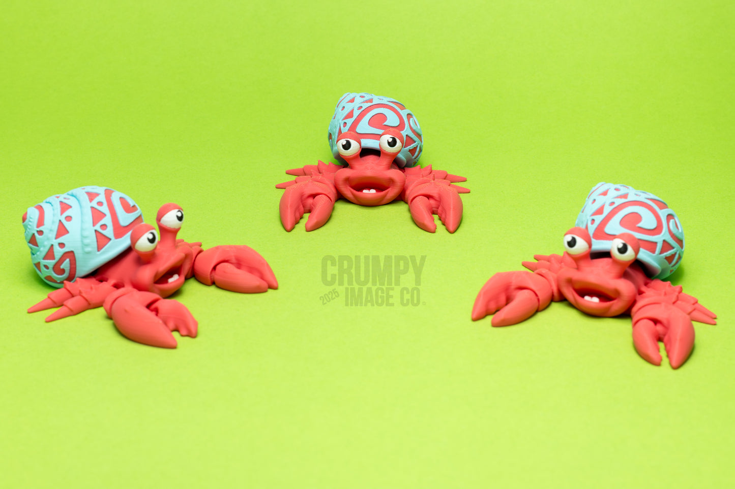 Flexi Tattooed Hermit Crab